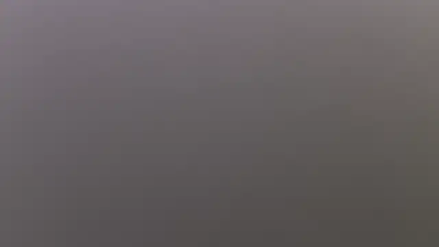 salome polaniiee online show from October 19, 2025, 8:20 pm