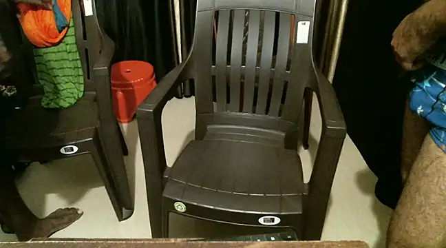 indian2 online show from December 21, 2024, 4:46 pm