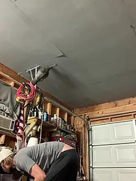 Snapshot of Midwestalpha chatting on March 15, 2026, 7:36 am Midwestalpha online show from March 15, 2026, 7:36 am