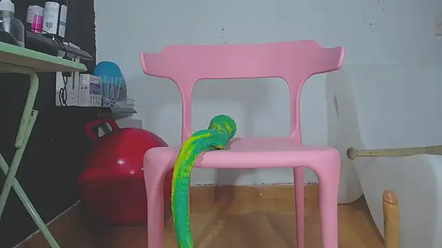 girl squiting online show from January 30, 2025, 3:22 am