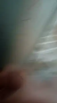 Sexis26 online show from March 15, 2025, 8:43 pm