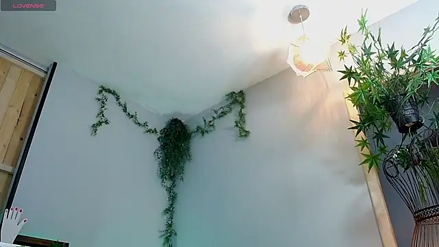 VickyJackson  online show from January 21, 2025, 7:50 pm