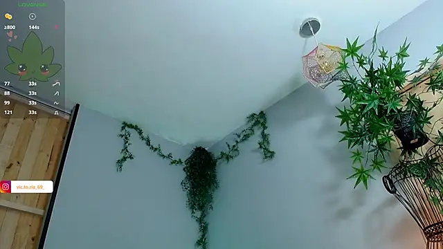 VickyJackson  online show from February 1, 2025, 8:26 pm