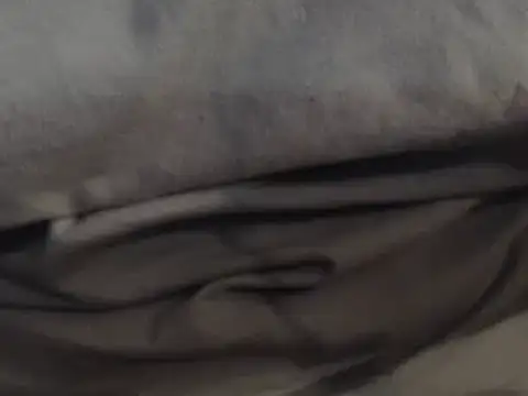 LatinoSized online show from December 13, 2024, 11:06 pm