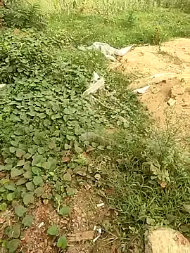 Snapshot of COUPLLE_VILLAGE chatting on May 19, 2026, 1:44 am COUPLLE VILLAGE online show from May 19, 2026, 1:44 am