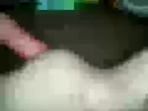 xxxlecram online show from January 15, 2025, 2:56 pm