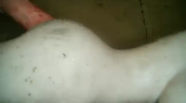 xxxlecram online show from March 5, 2025, 9:48 pm