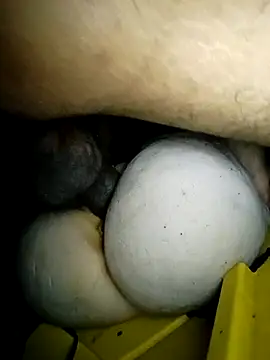 Bigcockmexi13 online show from March 23, 2026, 3:05 pm