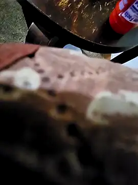 pajarol5co online show from January 26, 2025, 12:16 am