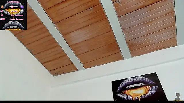 drake brwon 23 online show from February 19, 2025, 12:00 pm