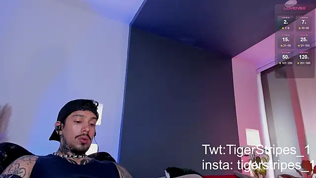 TigerStripes1  online show from March 15, 2025, 9:49 pm