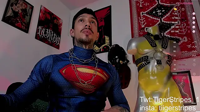 TigerStripes1  online show from March 21, 2026, 8:41 am