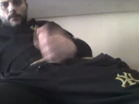 Snapshot of coppiasenzacensura chatting on February 15, 2025, 1:38 pm coppiasenzacensura online show from February 15, 2025, 1:38 pm