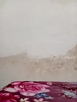 09punjabi online show from December 19, 2024, 11:07 am