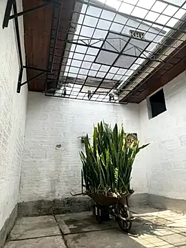 oliver price1 online show from October 6, 2025, 4:04 pm