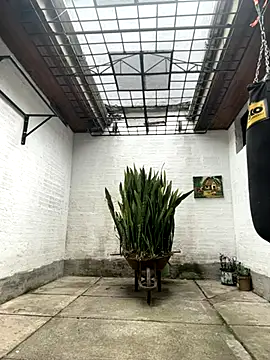 oliver price1 online show from October 15, 2025, 7:14 pm