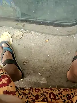 Kolkata   Boy online show from February 9, 2025, 8:22 am